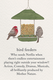 Friendship - Bird Feeders