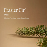 Frasier Fir Candle - Tidings