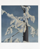 Canadian Winter Scenes Ver. 1 Boxed Notecards