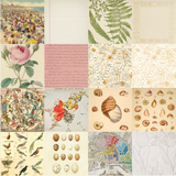 Pattern Paper Pack - Ephemera