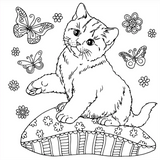 Cute and Curious Cats Colouring Book