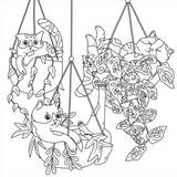 Cute and Curious Cats Colouring Book