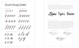 the Art of Hand Lettering for Beginners