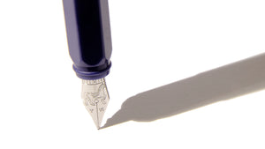 Forget Me Not Carousel Fountain Pen