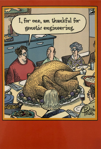 Thanksgiving - Thankful