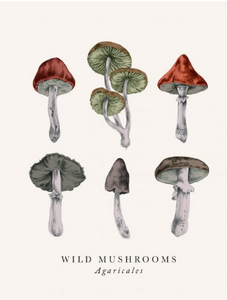 Blank - Wild Mushrooms