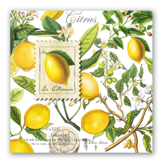 Michel Designs Luncheon Napkin - Lemon Basil