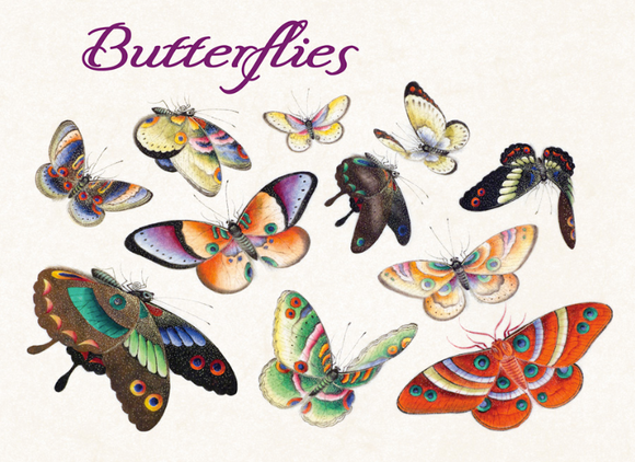 Butterflies Boxed Notecards