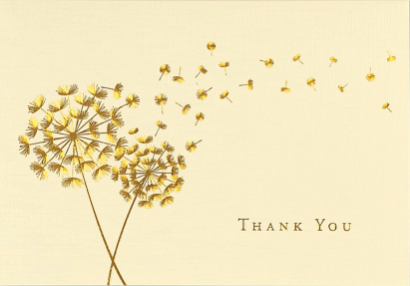 Boxed Thank You - Dandelion Wishes