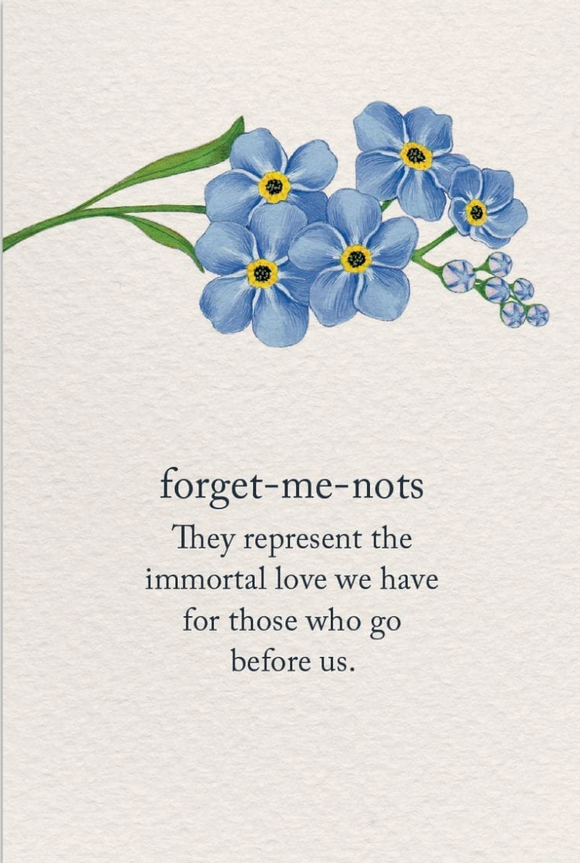 Sympathy - Forget-me-nots