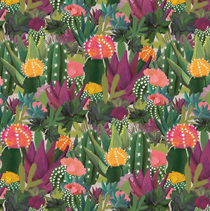 Colourful Cacti Roll Wrap