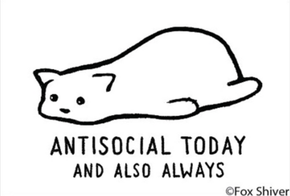 Antisocial Today... Magnet
