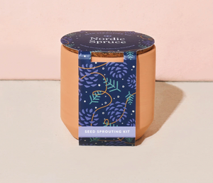 Tiny Terracotta Kit - Nordic Spruce