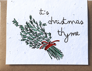 Christmas - Thyme (Seedling Paper)