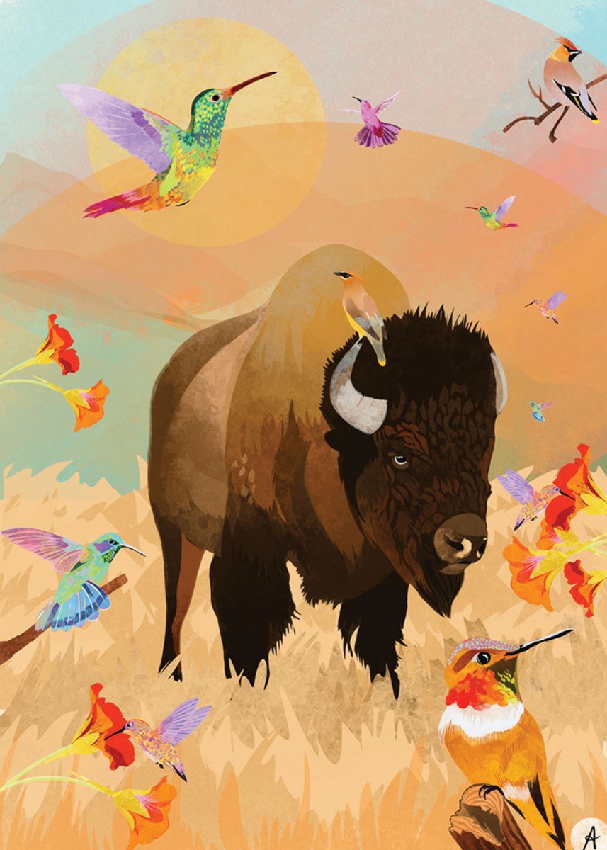 Blank - Buffalo – Take Note Stationery Boutique