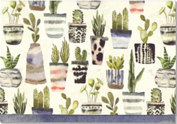 Boxed Notecards - Watercolour Succulents