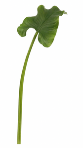 Calla Leaf Stem - 35.5"