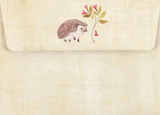 Boxed Notecards - Hedgehog