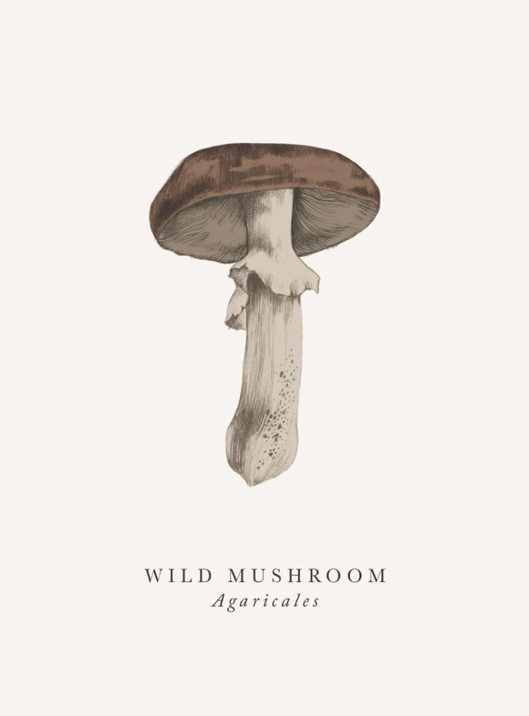 Blank - Wild Mushroom