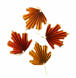 Leaf Banner