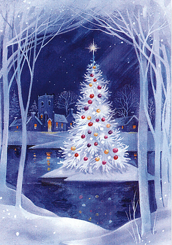 Boxed Holiday - Christmas Island