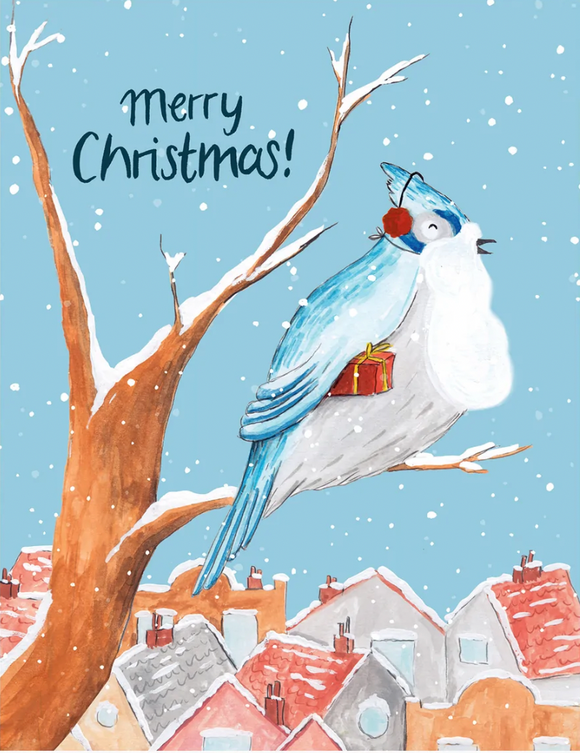 Christmas - Holiday Blue Jay