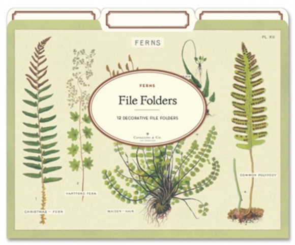 Cavallini File Folder - Ferns