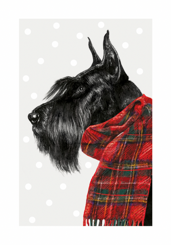 Christmas - Giant Schnauzer with Tartan Scarf