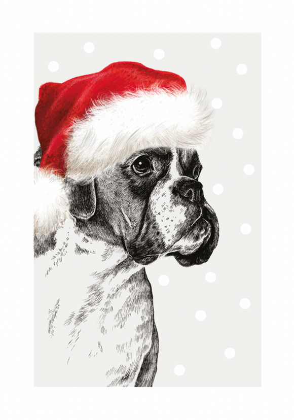 Christmas - Boxer in Festive Hat