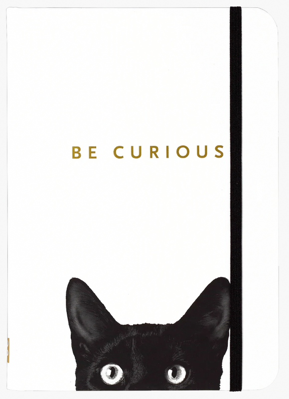 Curious Cat Lined Journal