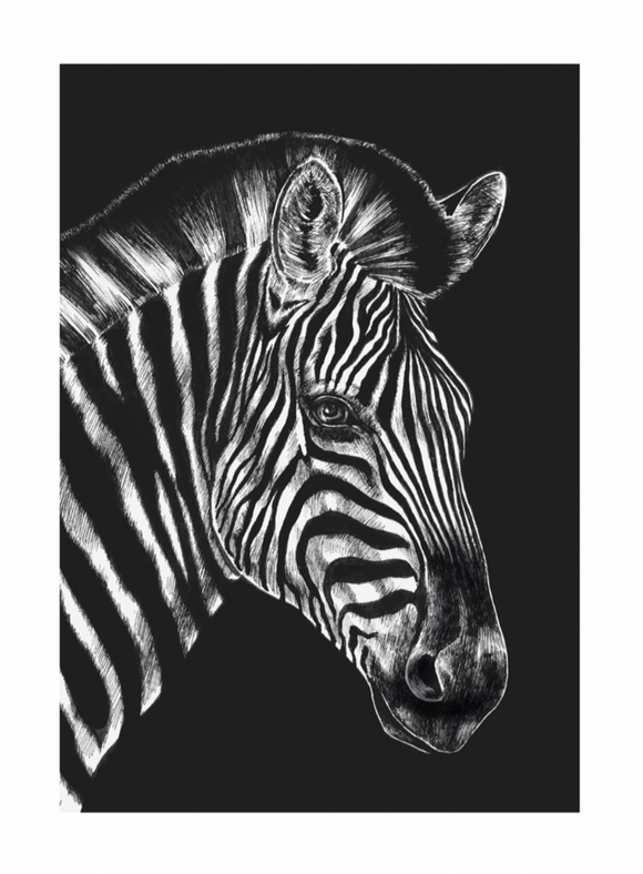 Blank - Zebra