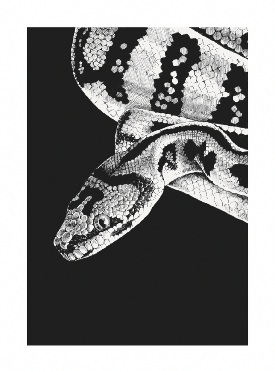 Blank - Python – Take Note Stationery Boutique
