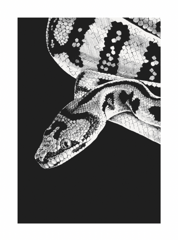 Blank - Python