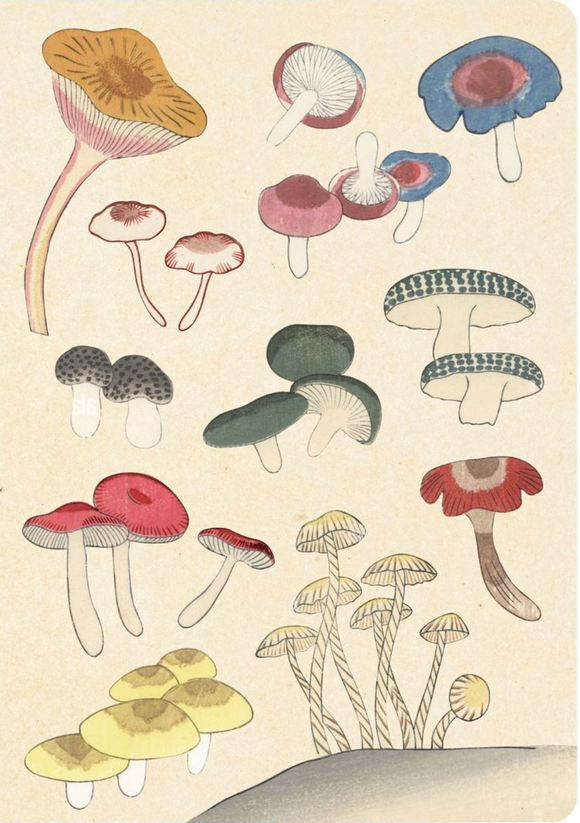 Healing Mushrooms Lined Journal