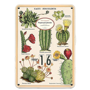Cavallini Perpetual Wall Calendar - Cactus